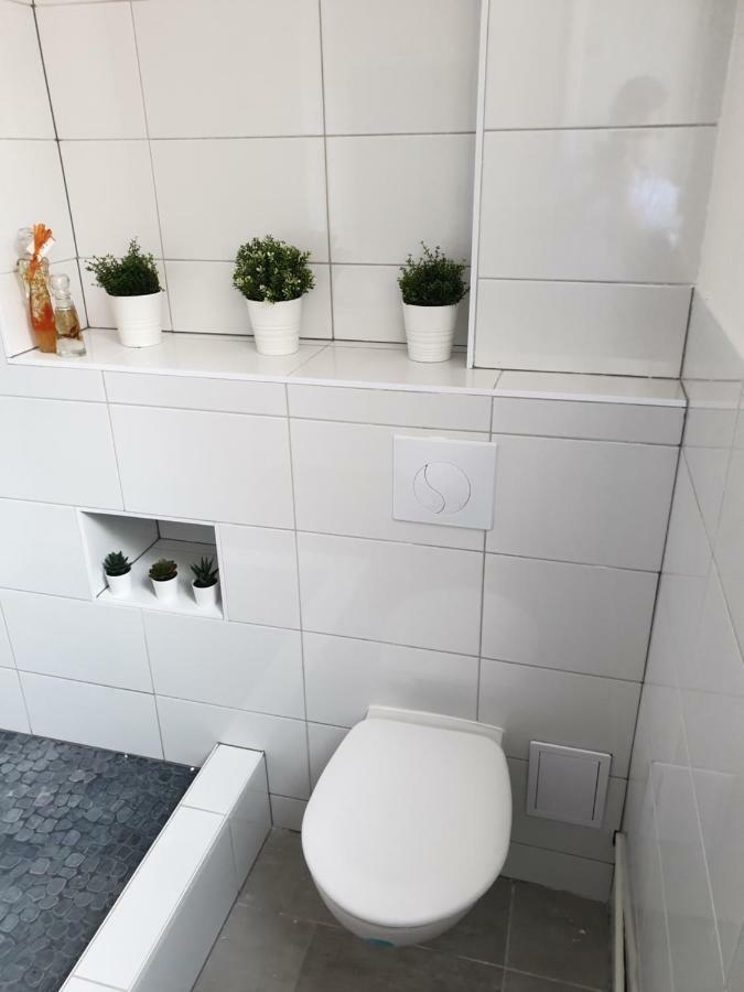 Strasbourg Centre Le 85, Superbe F5, 125M2, 5 Pieces Apartment Ngoại thất bức ảnh