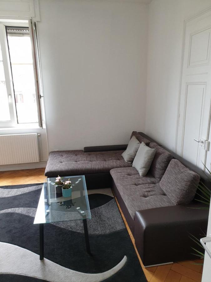 Strasbourg Centre Le 85, Superbe F5, 125M2, 5 Pieces Apartment Ngoại thất bức ảnh